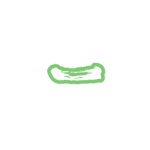 カラーバリエーション