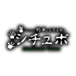 カラーバリエーション